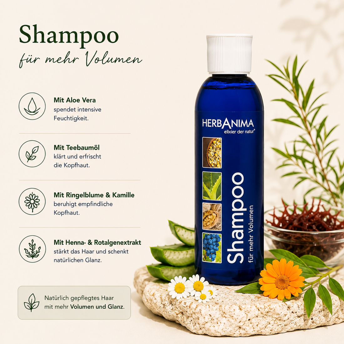 „Herbanima Shampoo für mehr Volumen mit Aloe Vera, Teebaumöl, Ringelblume, Kamille und Rotalgenextrakt – natürliches Shampoo für mehr Fülle und gepflegtes Haar.“