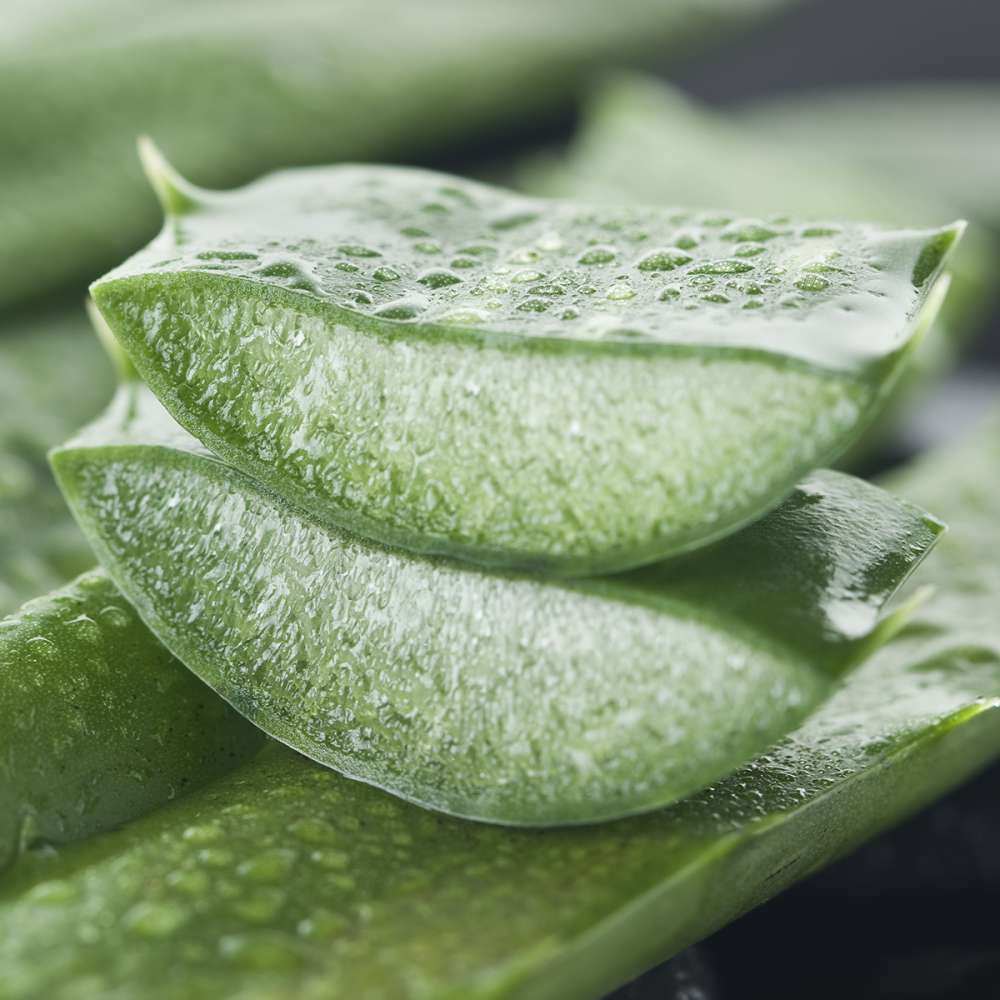 Bio PUR Aloe Vera Feuchtigkeitsgel, 80 ml - Schönheit aus der Natur