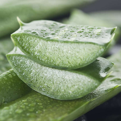 Bio PUR Aloe Vera Feuchtigkeitsgel, 80 ml - Schönheit aus der Natur