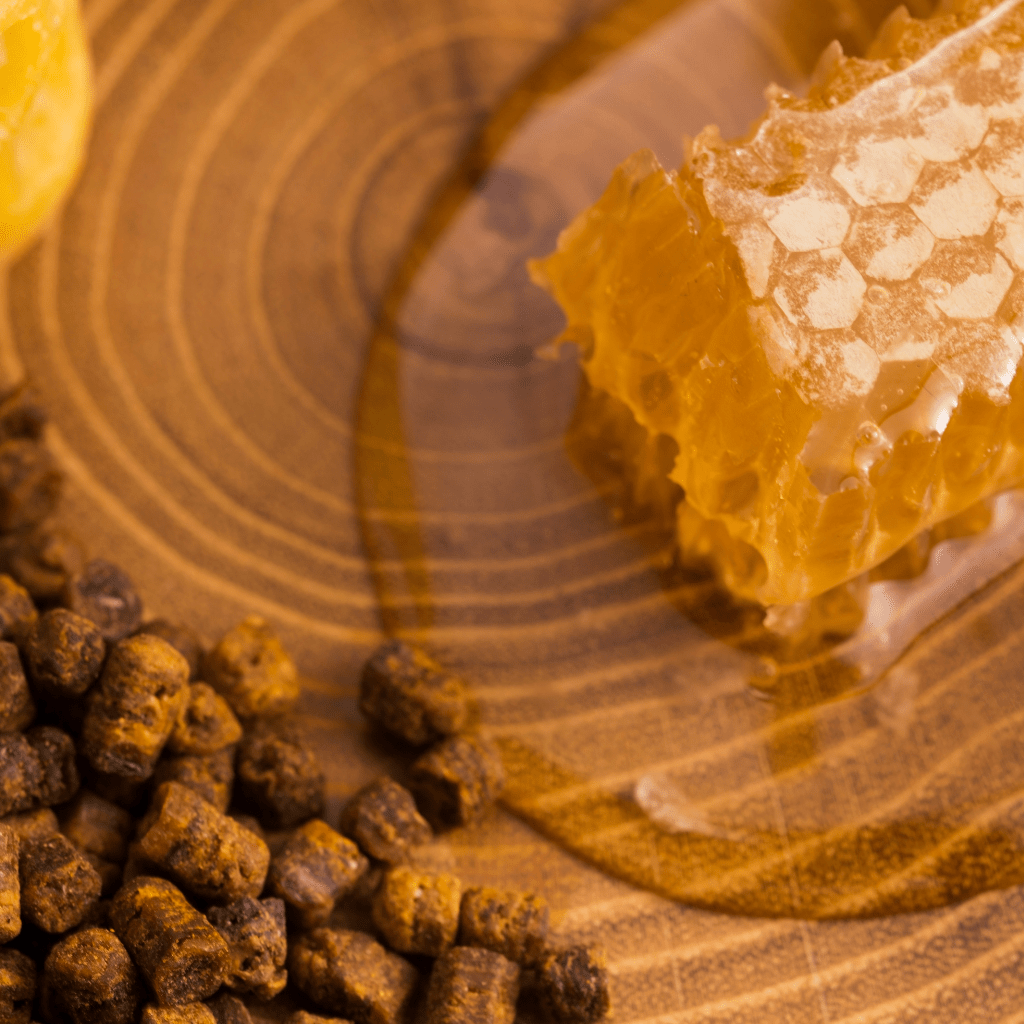 Herbanima Festiger 100ml. - Schönheit aus der Natur